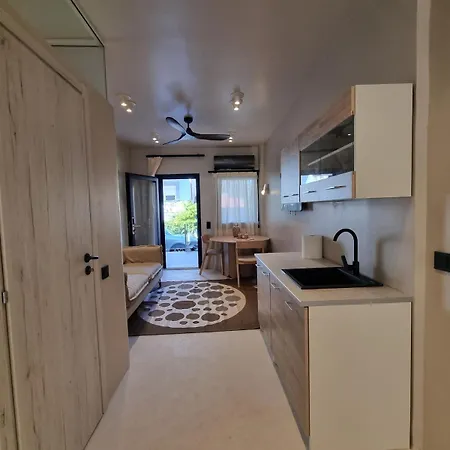 Vaios Luxury Полихроно